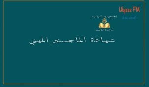 اصدار أمر حكومي تنظيمي فيما يتعلق بالناجحين في الماجستير المهني الاسبوع القادم