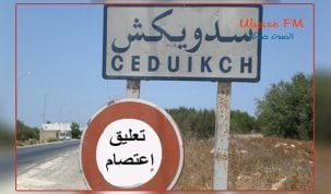 sedwikch-jerba