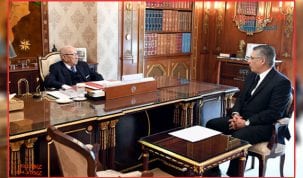 نبيل القروي