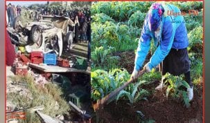 عاملات فلاحيات