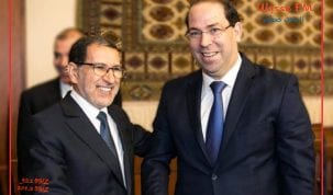 يوسف الشاهد