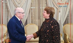 المفوضة السامية