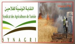 النقابة التونسية للفلاحين