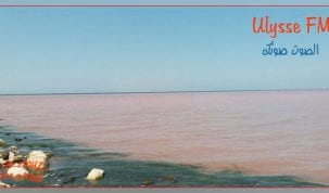 توضيح وزارة الشؤون المحلية والبيئة حول تحول مياه البحر إلى اللون الأحمر