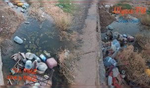 الحشرات و الناموس و التلوث البيئي يهددون حياة اهالي ذهيبة