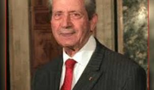 محمد الناصر