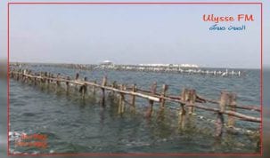 بحيرة-البيبان