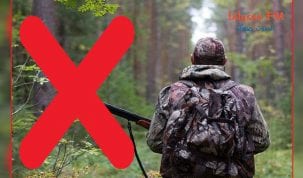 الصيد البري