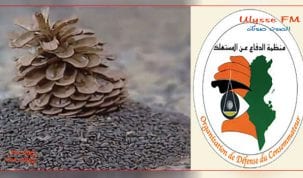 مقاطعة مادة الزقوقو