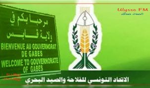 الاتحاد الجهوي للفلاحة والصيد البحري