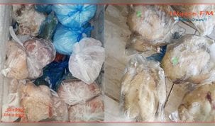 دجاج غير صالح للاستهلاك