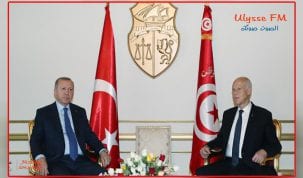 زيارة أردوغان